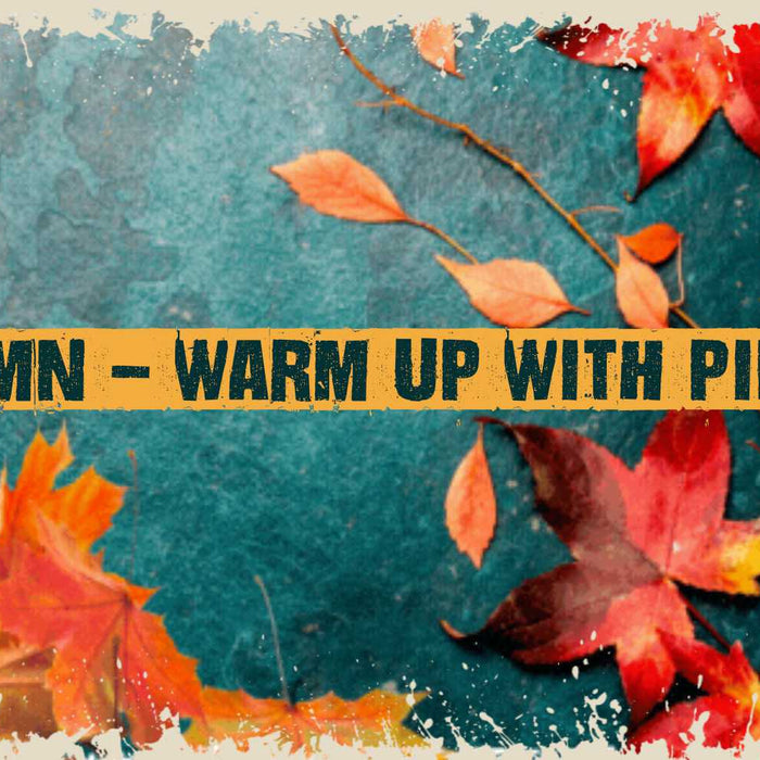 Autumn’s Creeping In – Time to Get Gluten Free Pies to Warm You Up!