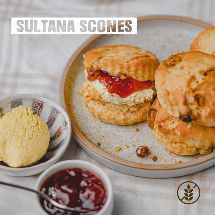 Sultana Scones (Pack of 2 individual scones) - Gluten Free